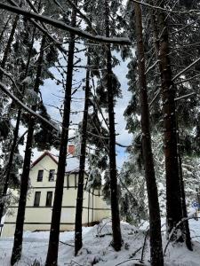 Berghof Eva - Hotel