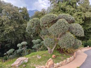 B&B / Chambres d'hotes Chez Nat et JC : photos des chambres