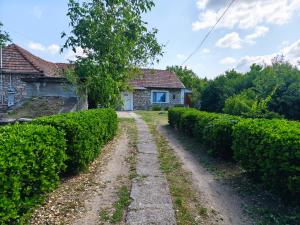 Európa Szíve Vendégház 2