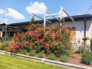 Noclegi, pokoje, kwatery "Nad Bzurą"