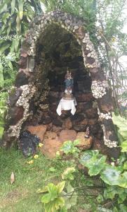 Cop30 -Sítio família