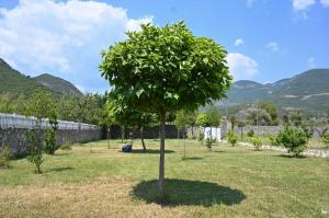 The Emerald Courtyard