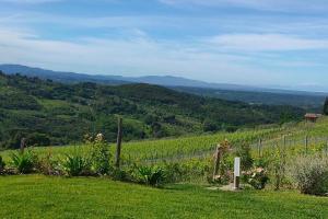 Villa le Sughere - Privacy, Piscina e Vista Panoramica
