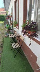 FLH - Studio Mai cu aroma de cafea si ceai