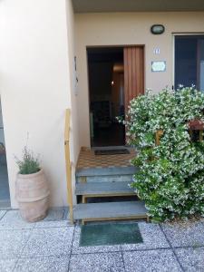 Il gelsomino del Perugino