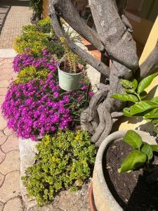 Maisons de vacances Le rez-de-jardin de SoPat : photos des chambres