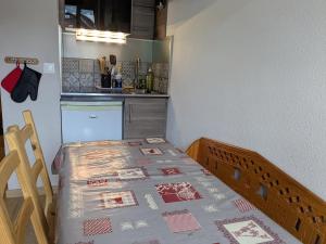 Appartements Charmant studio face a la Dent d-Oche : photos des chambres