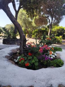Residenza di Campagna Dolmen Motorra