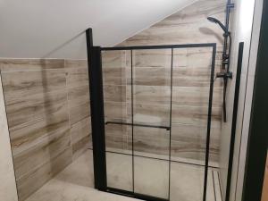 Apartamenty Dom Zielony