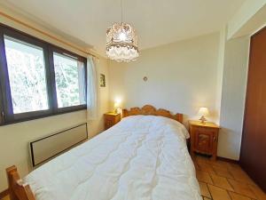 Appt cosy 3 pièces avec cheminée, proche télécabine - FR-1-241-42