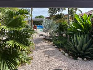 Aquila apartments en studios