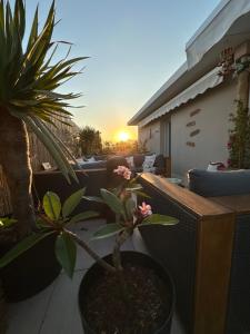 Appartements Symphonie Sur Parc : photos des chambres