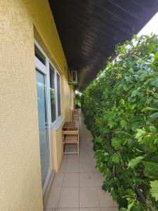 Guest House Filin