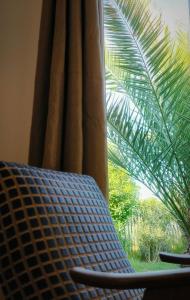Hotels Hotel Latecoere : Suite avec Vue sur Lac 
