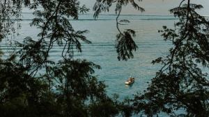 Luxury Lakefront Retreat at Casa Floresta