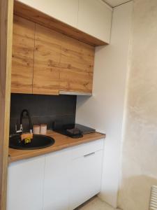 Kopaonik centar - Konaci, lux apartment ANDREA