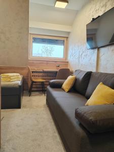 Kopaonik centar - Konaci, lux apartment ANDREA