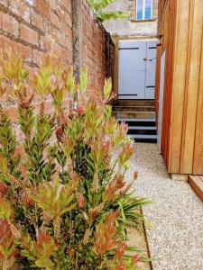 Villas La Rue Perdue - Gite & Spa : Villa 1 Chambre