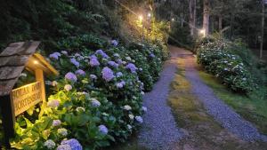 Casa de Campo Solar Das Hortênsias
