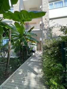 Gjiri i Lalezit MoMo Apartament