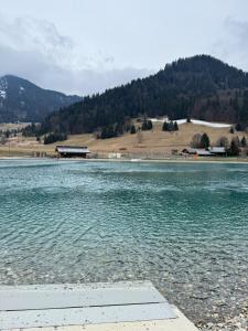 Appartements Appartement Cosy, Les Marmottes : photos des chambres