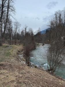 Appartements Appartement Cosy, Les Marmottes : photos des chambres