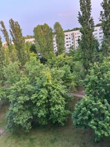 1 Room Apartment in Berlin