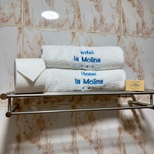 Hotel La Molina