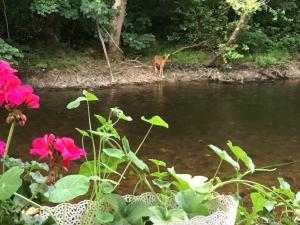 Maisons de vacances Moulin Grand, entire accommodation, 2br park river : photos des chambres