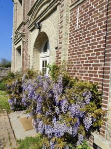 Villas Beautiful 19th century host house near from Etretat : photos des chambres