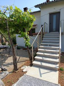 Green view apartment