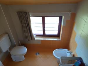 Green view apartment