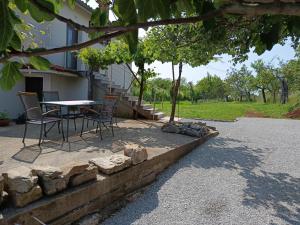 Green view apartment