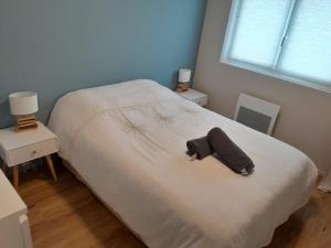 Appartements Wissant-sur-Mer : photos des chambres