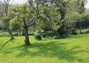 Yarde cottage rural Devon Dog friendly