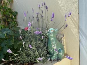 Rare, private garden, Monaco border, 1 bedroom