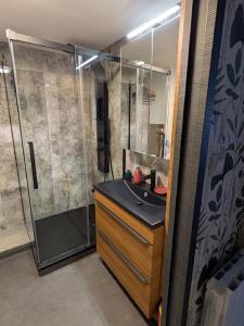 Appartements Les 3 Zepp : photos des chambres