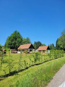 Domov na horách - Krkonoše - horký sud, pergola, dětské hřiště - celý dům