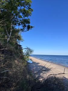 Forest & Waves - Luxury Seaside Retreat with Pool, 90m to the Beach & Pro Workstations
