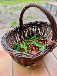 Résidence Hôtelière du Magnoac