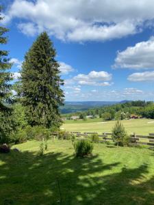 Chalet bois au calme, en lisière de forêt, balcons, sentiers balades Gérardmer & Alsace "Chalet Mon beau sapin"