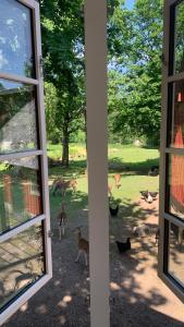 Damwildfarm in Rollerbü Südschweden