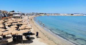 Maisons de vacances Location saisonniere Maison Pointe Rouge Marseille 8 : photos des chambres