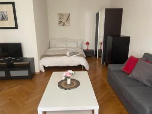 Appartement clame 6 minutes de la gare de Lausanne