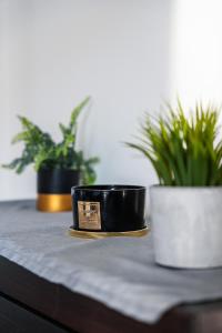 no10 ,Cozy apartment in Bratislava