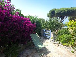 Maisons de vacances La Pointe de Sel - Plage a 2 minutes a pied : photos des chambres