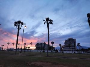 Apartamento del tilo