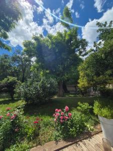 Maisons de vacances Sublime Mas de Lou a 15 minutes d-Arles : Maison 3 Chambres 