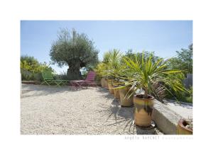 Villas villa mediterranee : photos des chambres