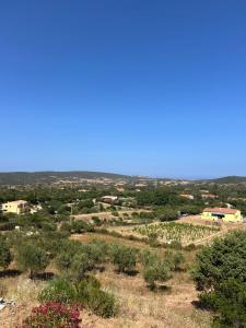 Vita di Campagna - Palau img13